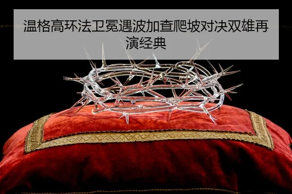 wen-ge-gao-huan-fa-wei-mian-yu-bo-jia-cha-pa-po-dui-jue-shuang-xiong-zai-yan-jing-dian-2-982.jpg